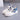 Men’s & Women’s Fashion Sneakers – Lightweight Casual Sports Shoes for Daily Wear